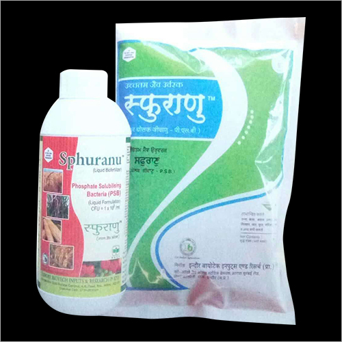 Phosphate Solubilizing Bacteria By INDORE BIOTECH INPUTS AND RESEARCH PVT. LTD.