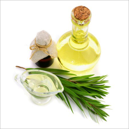 Cajeput Oil Ingredients: Herbal Extract