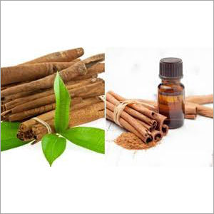 Cinnamon Oil Manufacturer,Cinnamon Oil Supplier and Exporter from Budaun  India