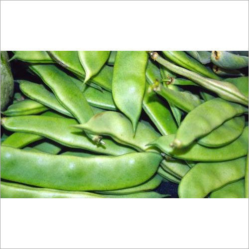 Broad Beans