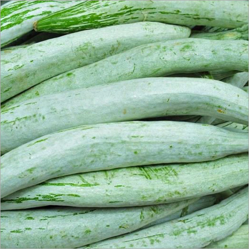 Snake Gourd By THIRU IMPORTS AND EXPORTS