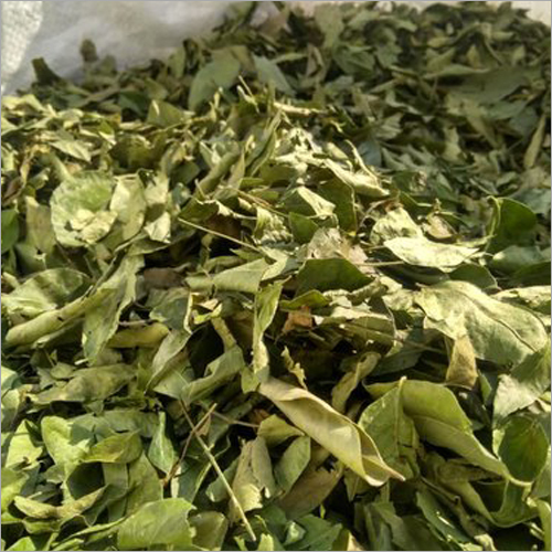 Dry Curry Leaves