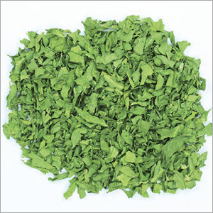 Dehydrated Spinach Leaves