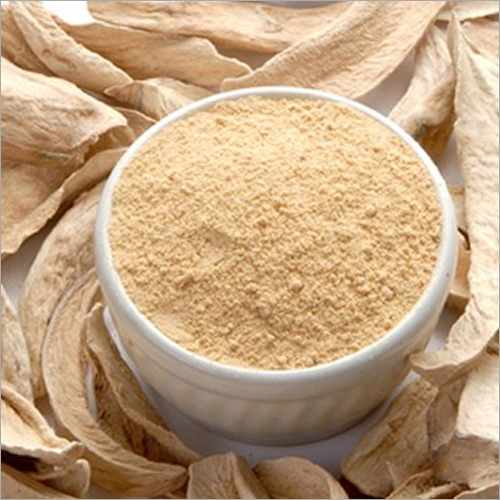 Premium Grade Amchur Powder