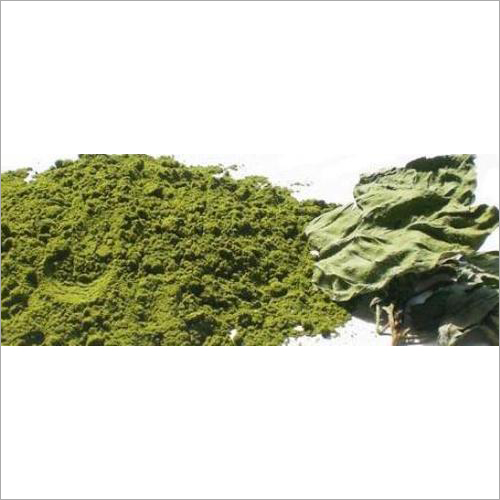 Mint Leaves Powder