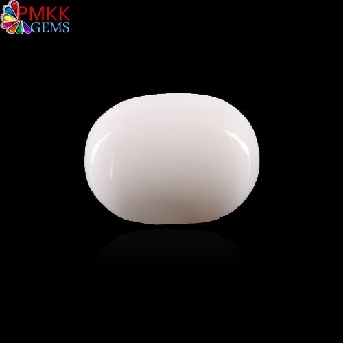 Natural White Coral(WC022)