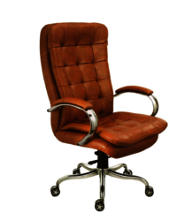 BMS-1007 Revolving Director Chair