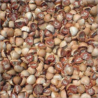 Fresh Betel Nut