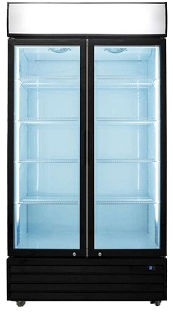 Double Door Medical  & Pharmacy Refrigerator