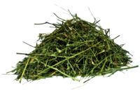 Andrographis Paniculata Age Group: Suitable For All