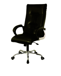 BMS-2008 Executive Revolving Chair