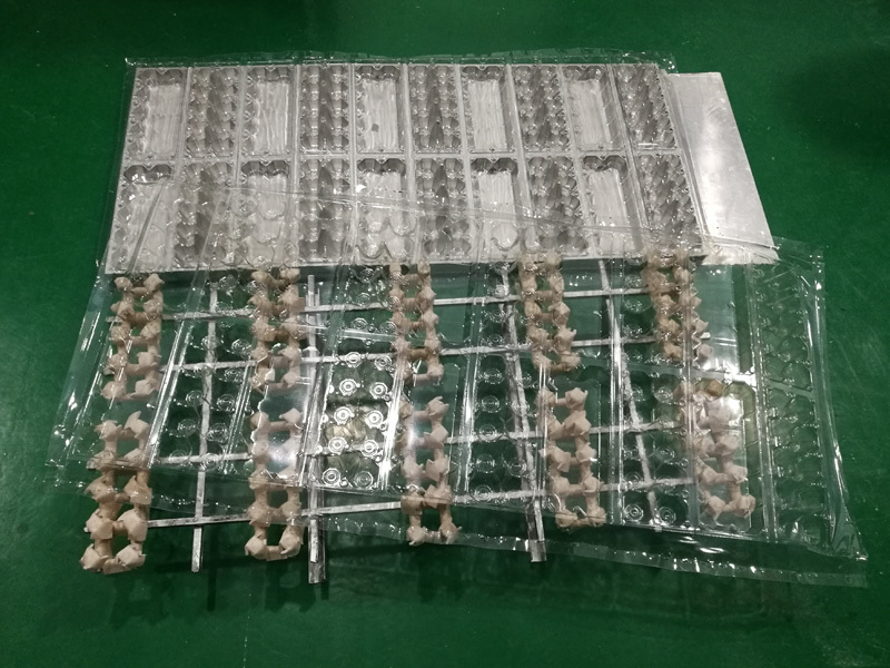 Fully Automatic Blister Thermoforming Machine