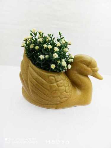 Duck new