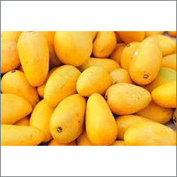 Banagana Pally  Benisha Fresh Mango