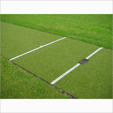 Turf Cricket Pitch