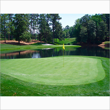 Golf Grass