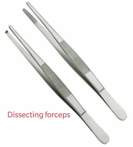 Dissecting forceps