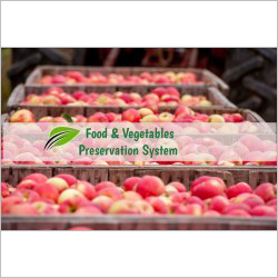 Fruits And Vegetable Preservation System