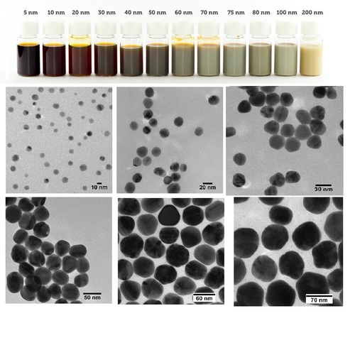 BIOPURE SILVER NANOSPHERES  BARE (CITRATE)