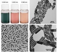 NANOXACT GOLD NANORODS-BARE (CITRATE)