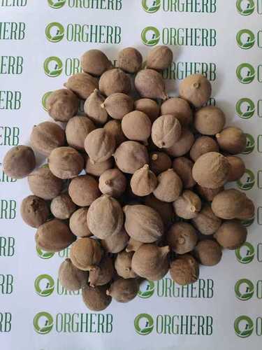 Terminalia Bellirica