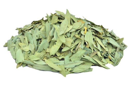 Senna Alexandrina