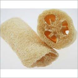 Body Sponge Scrubber