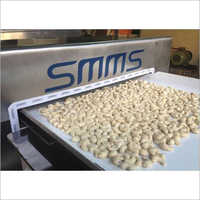 Loose Cashew Metal Detector