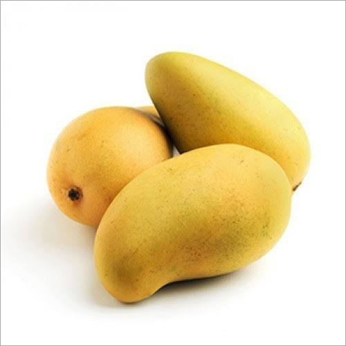 Common Natural Mangoes