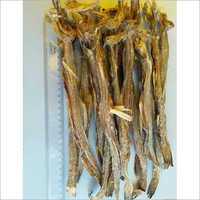 Fresh Frozen Fish Packaging: Bulk