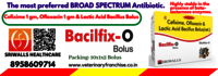 BACILFIX-O CEFIXIME OFLOXACIN LACTIC ACID BACILLUS BOLUS