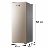 Haier 168 L Frost-Free Single Door Vertical Freezer (BD-168WL, Golden Finish)