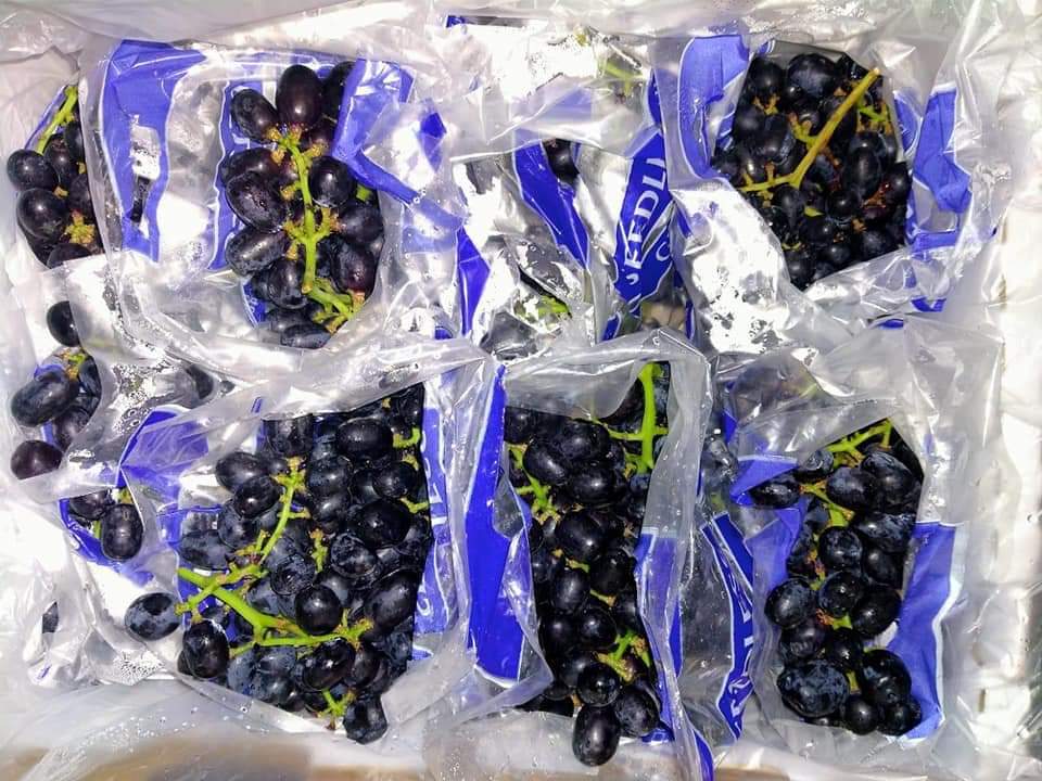 Black Fresh Grapes