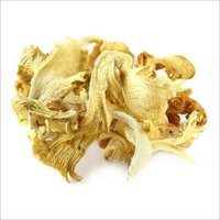 Oyster Mushroom - 20 Kg Pp Bag, Organic Quality A Grade Edible Dried Mushroom