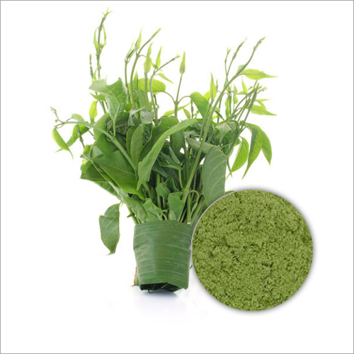 Gymnema Sylvestre Extract Powder - 75 Percent Gymnemic Acid, Ideal for Children, Men, Women | 1 Year Shelf Life, Store in Cool and Dry Place