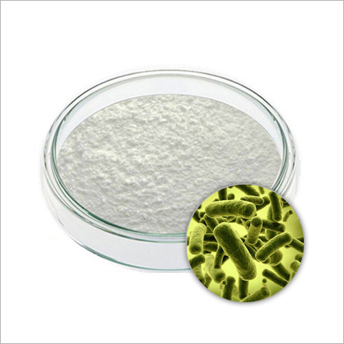 200 B Cfu-G Lactobacillus Acidophilus Powder Recommended For: Men