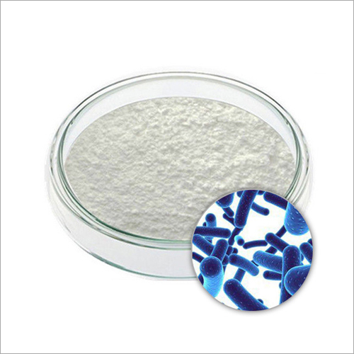 200 Billion Cfu-G Lactobacillus Rhamnosus Powder Recommended For: Men