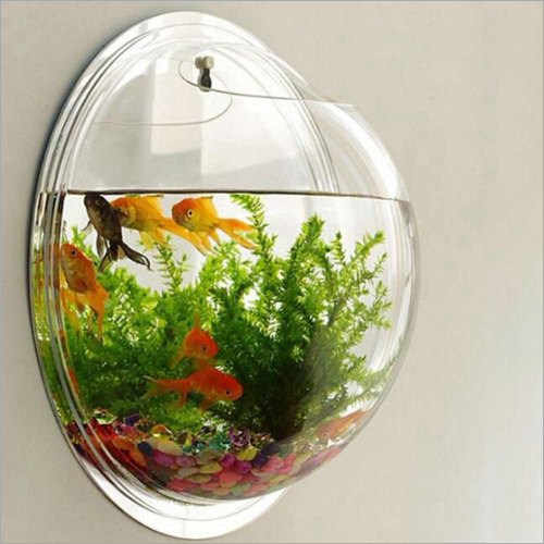 Transparent Acrylic Wall Mounted Fish Aquarium