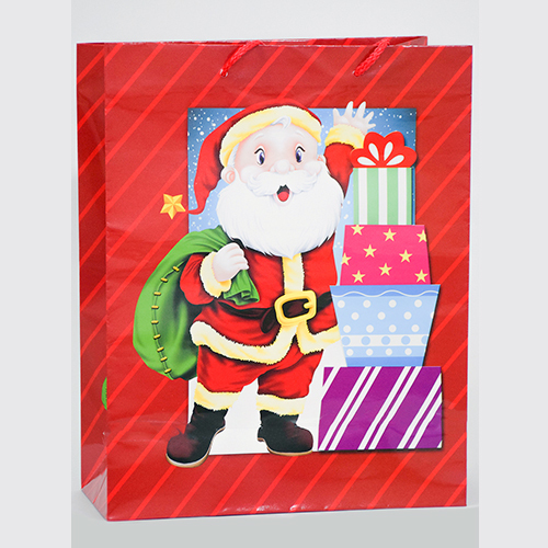 Christmast Print Paper Carry Bag