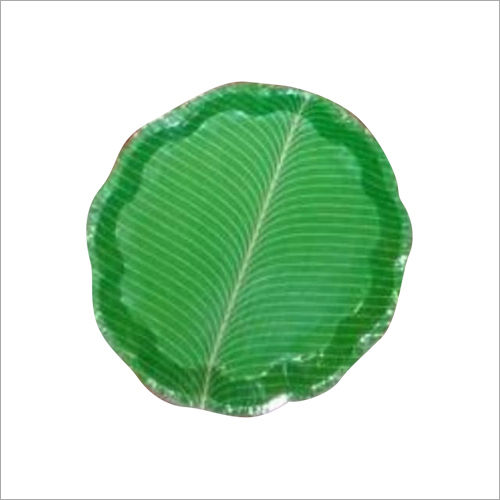 Disposable Paper Buffer Plate