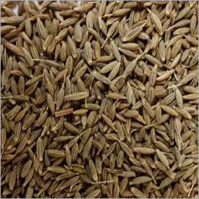 White Cumin Seed