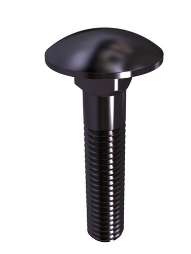 Carriage Head Bolt By FASTNERS INDIA