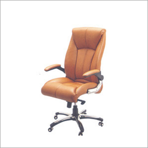 Economical Director Chair