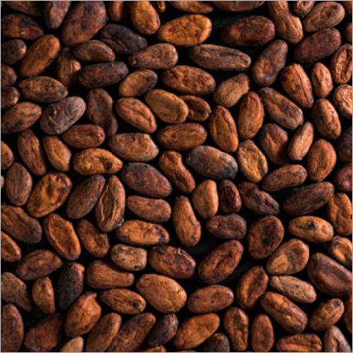 Fermented Cocoa Beans By TWIN TRACK COCOA PRODUCTS INTERNATIONAL