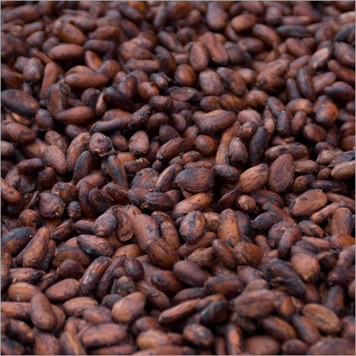 Raw Cocoa Beans