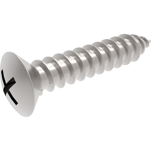 Raised Countersunk Head Self Tapping Screw By FASTNERS INDIA