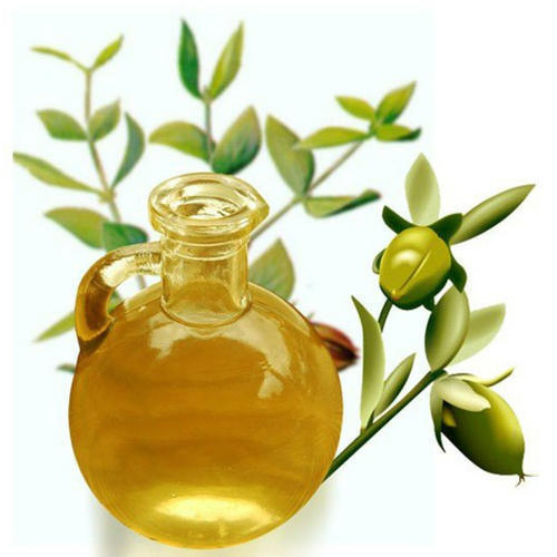 Jojoba Oil Cas No: 61789-91-1