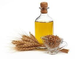 Wheat Germ oil