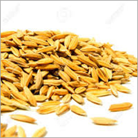 Paddy Grain - Organic Dried Rice Moisture: 4-5% Purity: 99% Storage: Dry Place Ideal for Agricultural Use