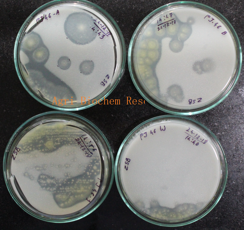 Microbial strain mineral solubilizing Activity By AGRI BIOCHEM RESEARCH LAB